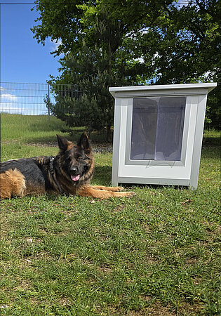 Hundehütte