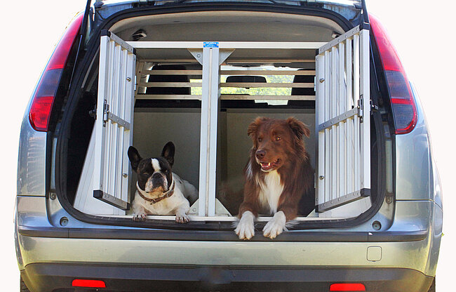 Doppelbox für den Kofferraum