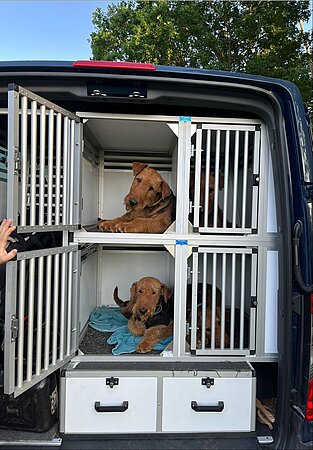 Fahrzeugausbau Hundetransport