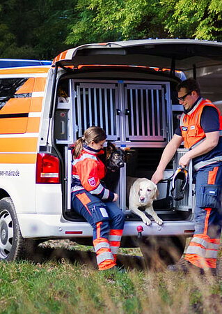 Hundebox_und_Thermobox_für_Rettungshunde_1