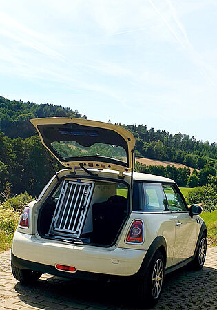 Maßanfertigung Hundebox