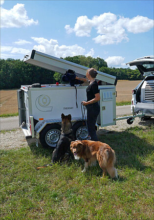 Hundeanhänger_für_PKW_und_Auto