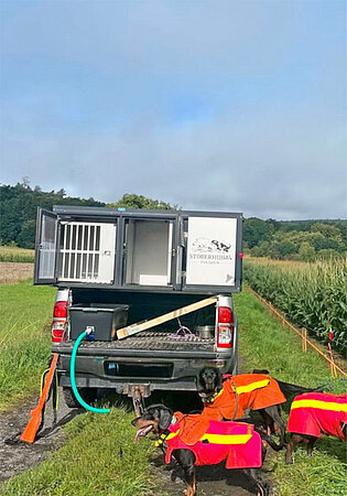 Hundebox_für_Jagd_3