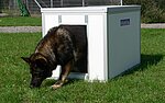 Hundehütte Standard
