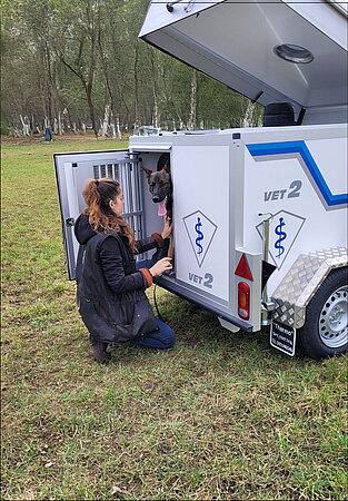 Hundeanhänger_für_Sporthunde