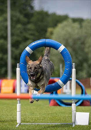 Agility