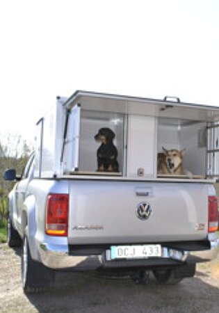 Thermobox für Hunde