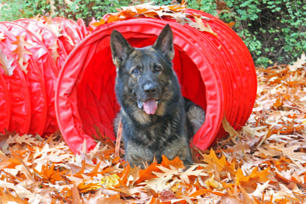 Tunnel – Bild 10
