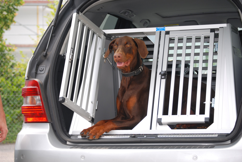 Hundeboxen Übersicht - WT-Metall