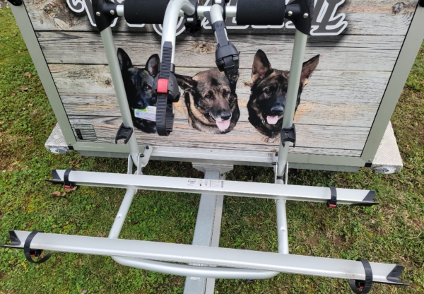 Anhänger für 3 Hunde – Bild 5